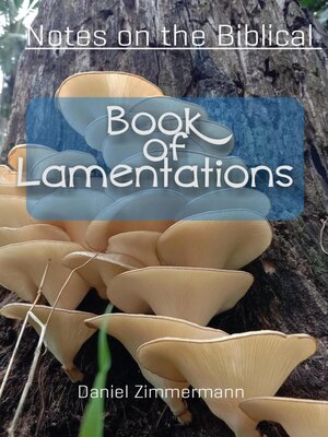 cover image of Notes on the Biblical Book of Lamentations